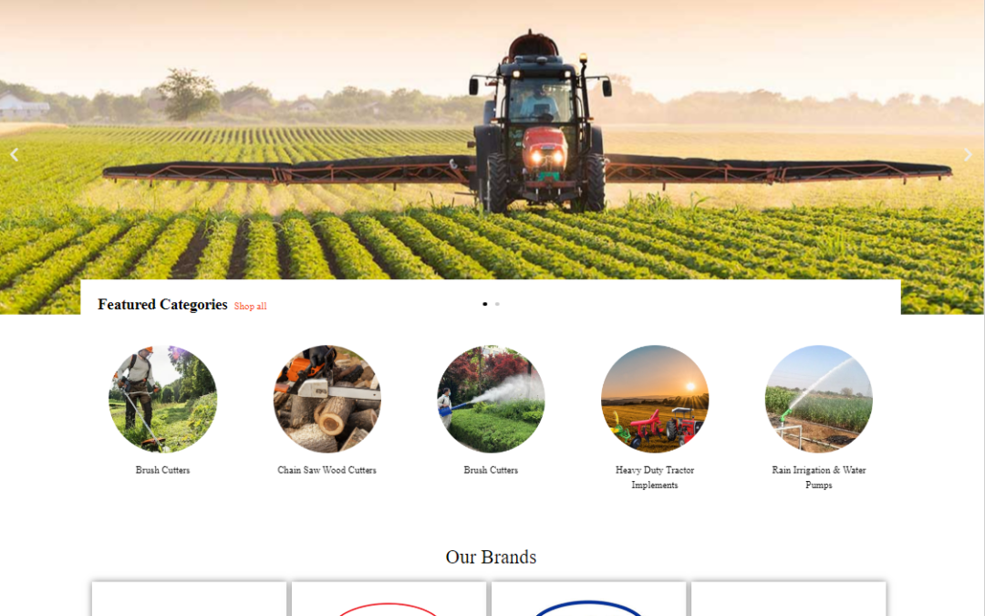 Website Development